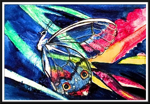 Glass Wing
 Butterfly